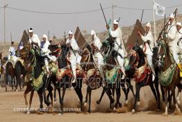 Image du Maroc Professionnelle de  Course typiquement marocaine dite ''la Fantasia'' organisé dans un site désertique sur lequel la ville de Tan Tan a toujours accueilli la majorité des tribus et des grandes familles nomades du désert lors d'un grand moussem, Samedi 24 Mars 2012. (Photo / Abdeljalil Bounhar)

 